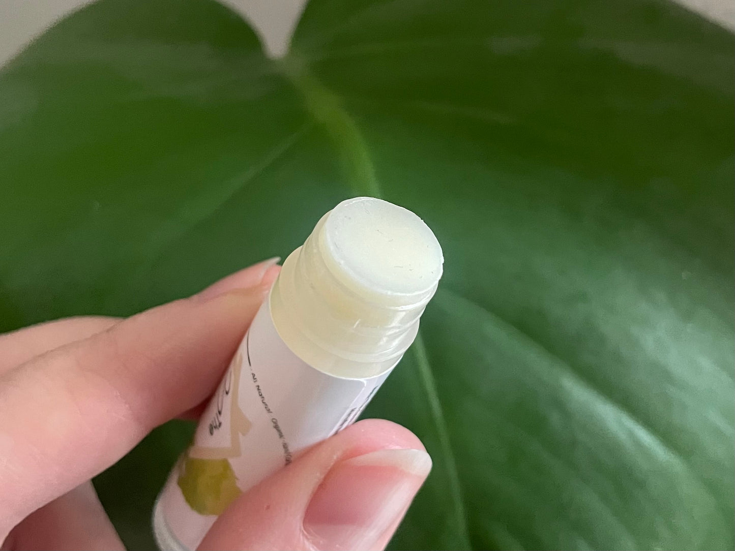 Natural Tallow Lip Balm - 0.2 oz